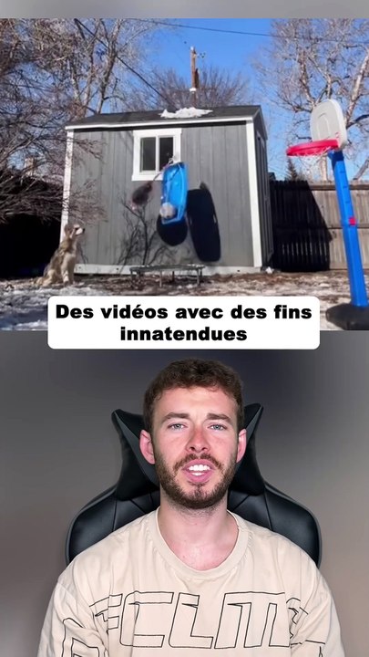 Des vidéos avec des fins inattendues