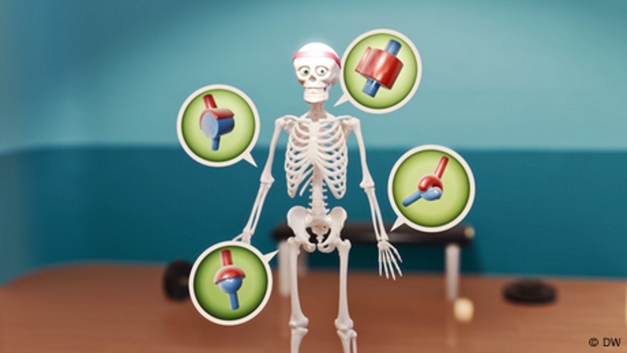 Understanding How Joints Function