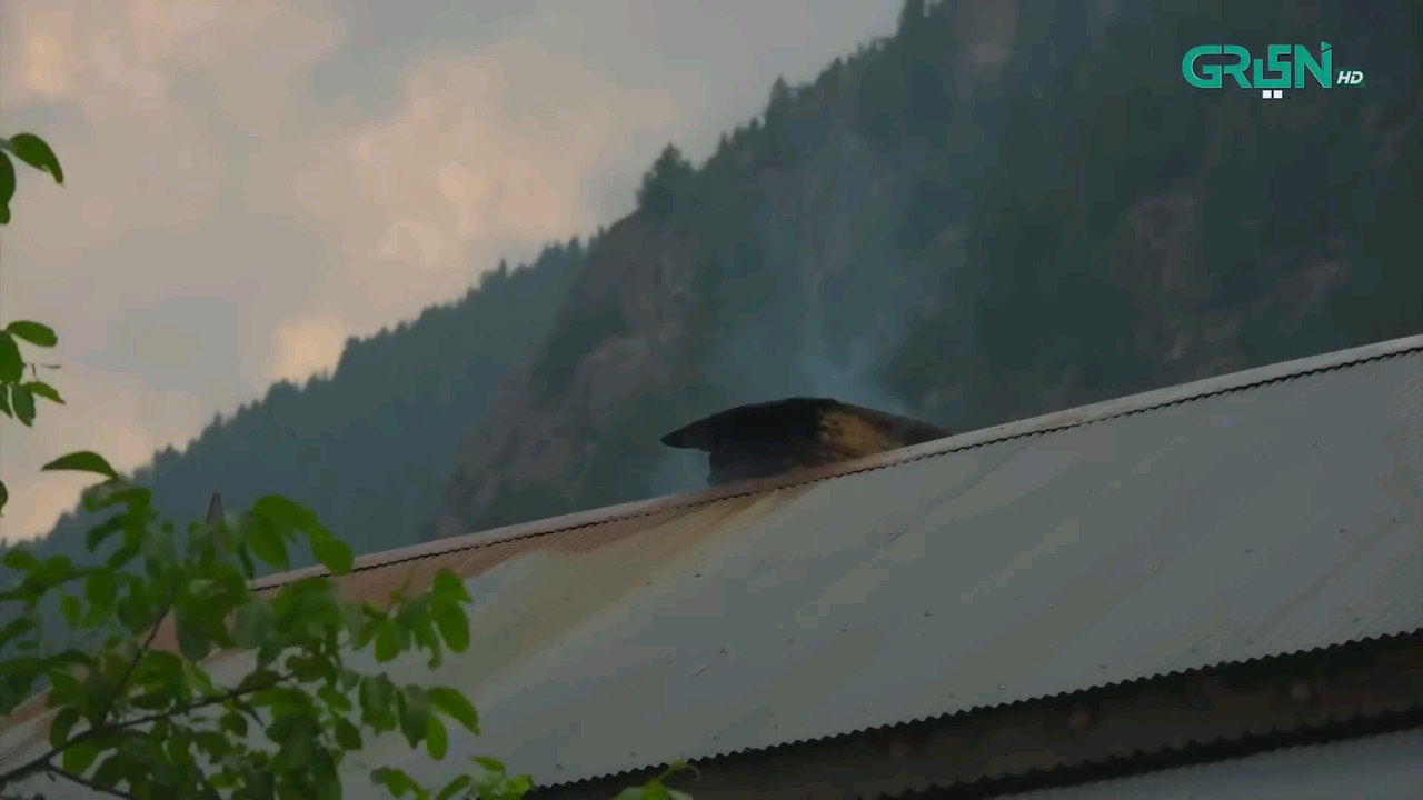 Nauroz | Episode 01 | Mawra Hocane |