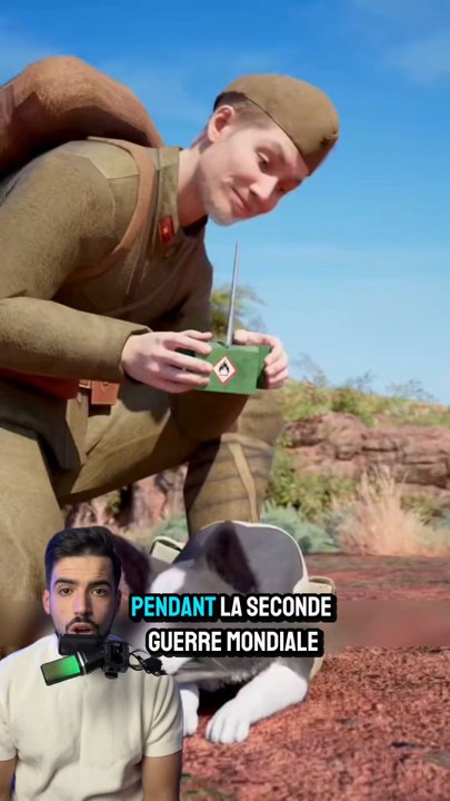 Pendant la seconde guerre mondiale