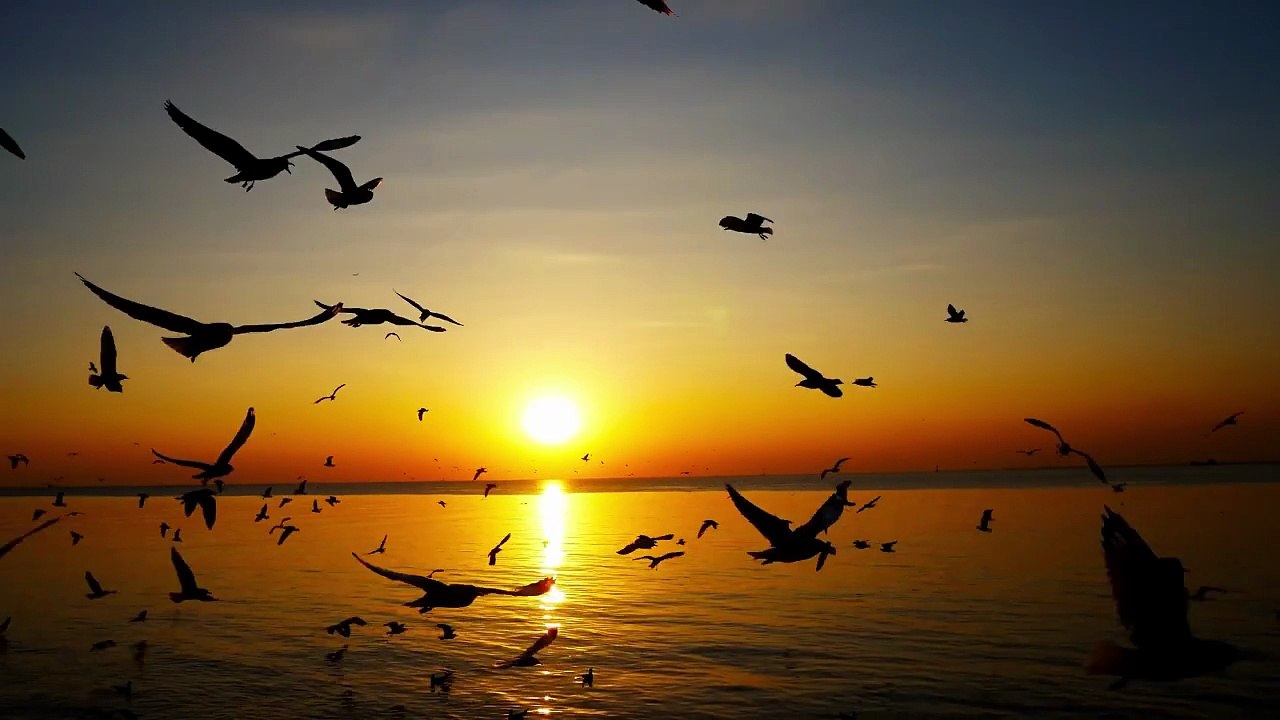 Tololoche – Tengo Celos 💔🔥 (Corrido Bélico Romántico 2025 | Estreno Oficial)