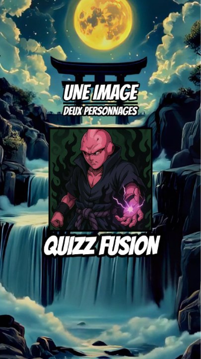 Quizz Fusion - Une images, deux personnages !