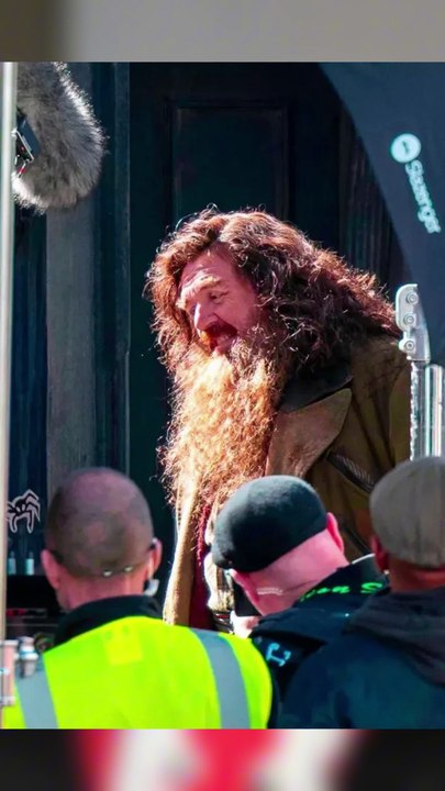 Coup de coeur pour le Hagrid de la future série Harry Potter #harrypotter #hagrid #nickfrost