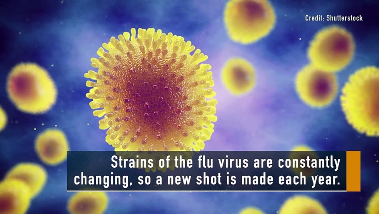 Facts:  Flu Shot And Side Effects