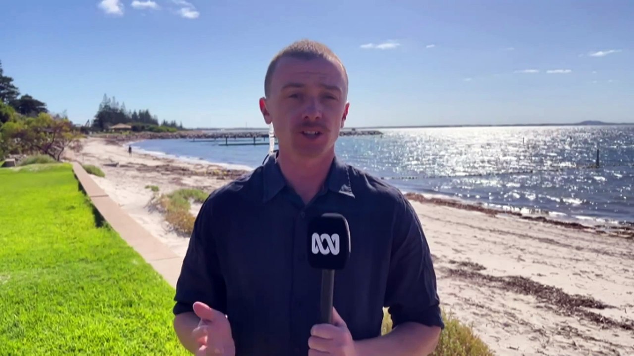 Surfer missing after attack at Wharton Beach in Western Australia