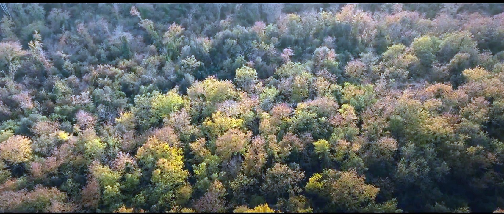 Un posto sicuro (Trailer Ufficiale HD)