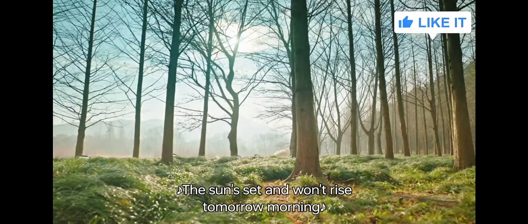 ep9-ugly turns pretty/filtr