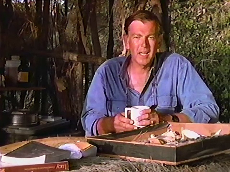 In Search of Human Origins: The Story of Lucy (1 of 3)