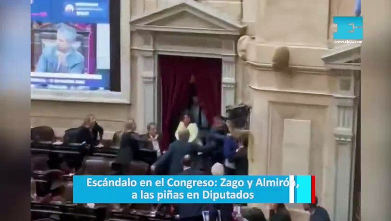 Escándalo en el Congreso: Zago y Almirón, a las piñas en Diputados