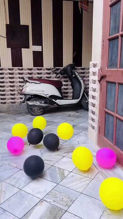 #viral fuuny short#funny viral short