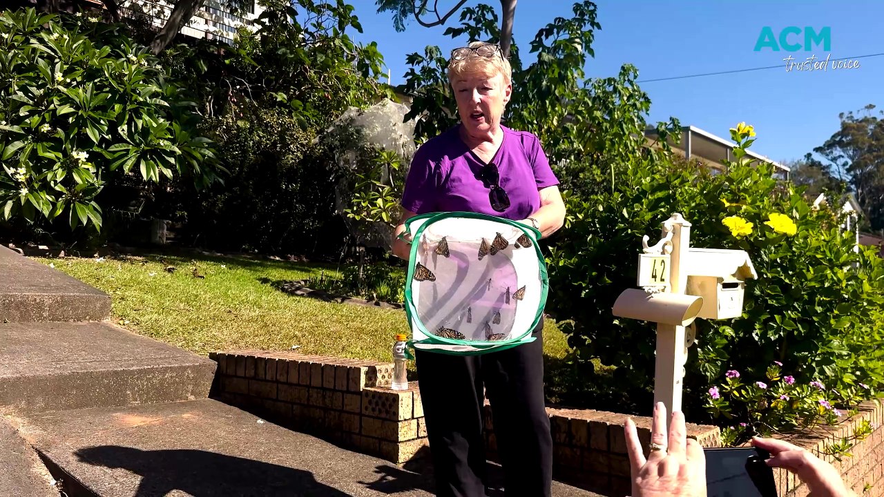 Monarchs Butterfly Conservationist, Rowena Magee