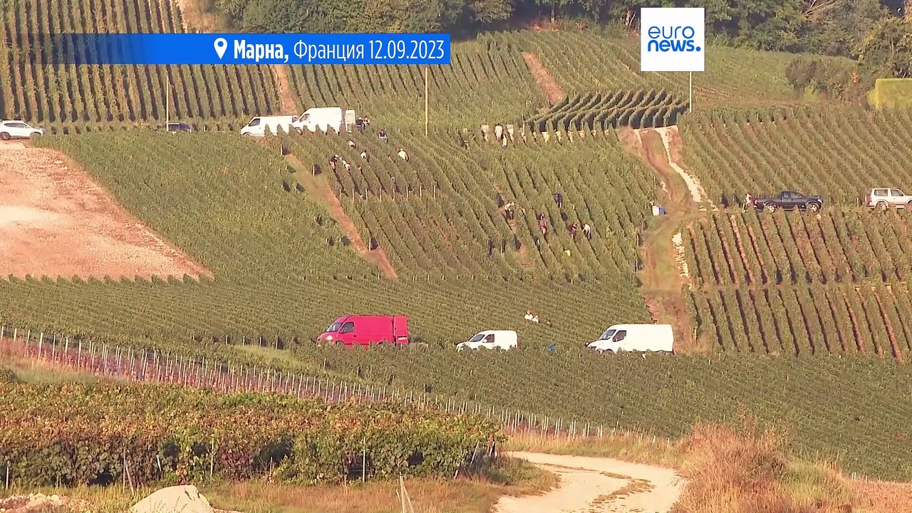 Трамп грозит ввести 200%-е пошлины на импорт алкоголя из ЕС в рамках торговой эскалации