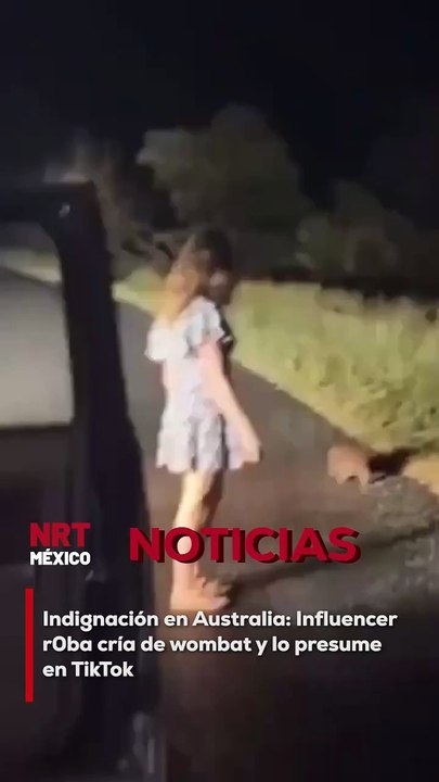La influencer estadounidense Sam Jones compartió un video en TikTok donde se le ve robando una cría de wombat en Australia.