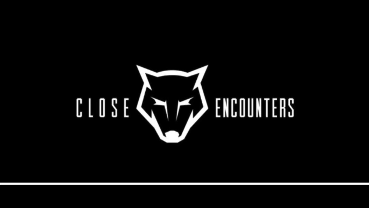 35 Shotgunned Coyotes! 4K