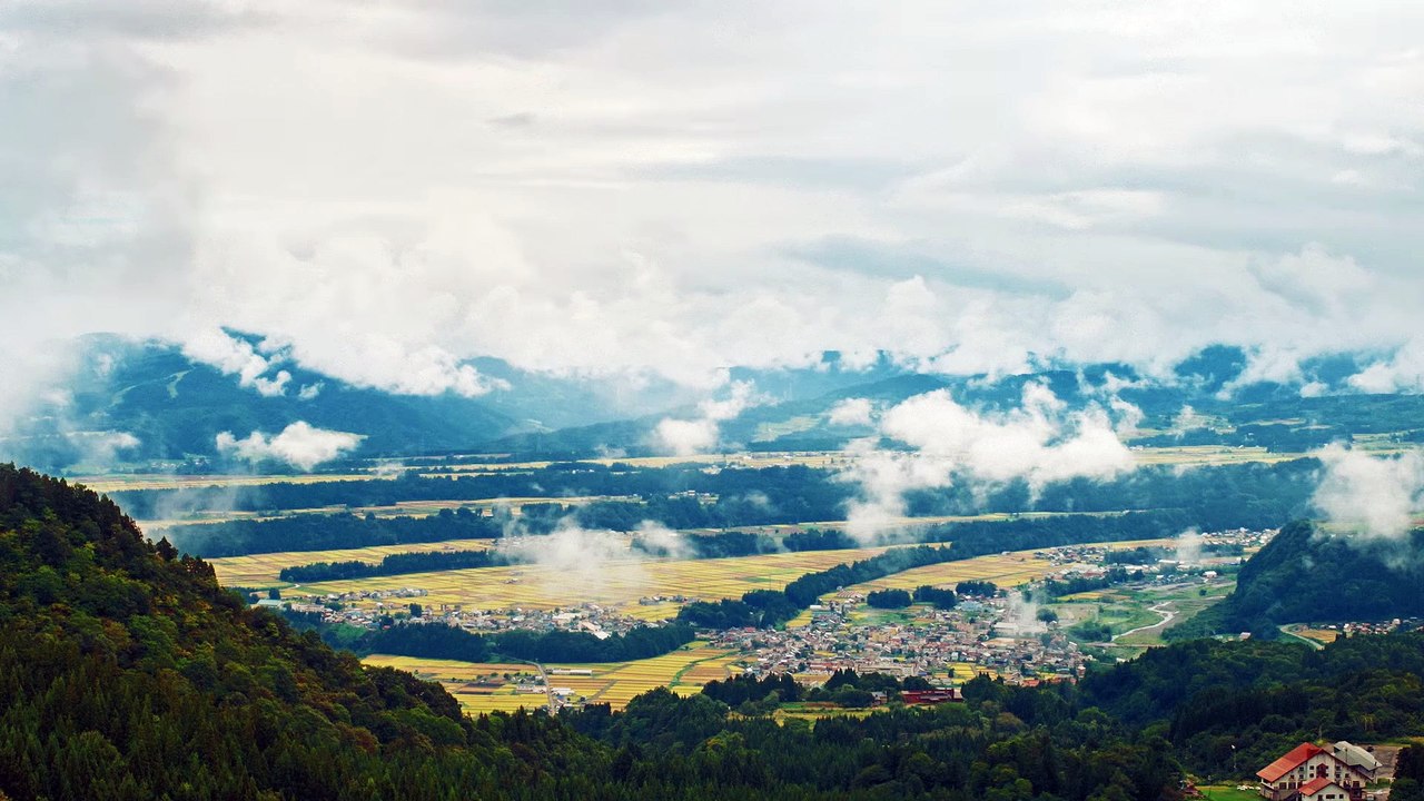 書けないんじゃない、書かないんだ | movie | 2024 | Official Trailer