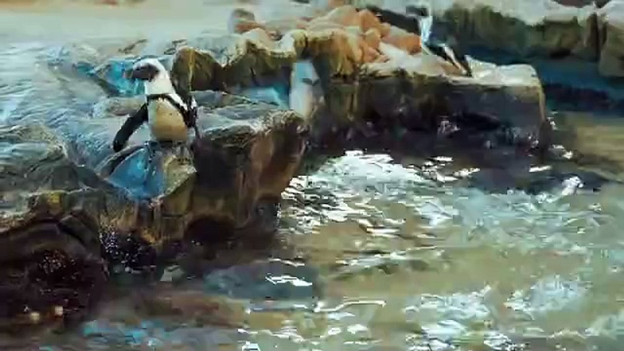 Time for a Quick Dip