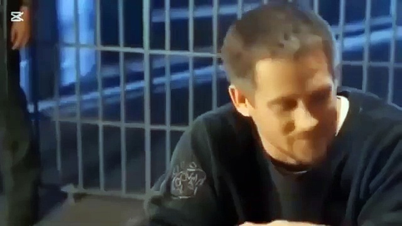 Haul out the Holly 2025 - Great Hallmark Movies 2025 - New Hallmark Romance 2025 - Best Holiday 2025