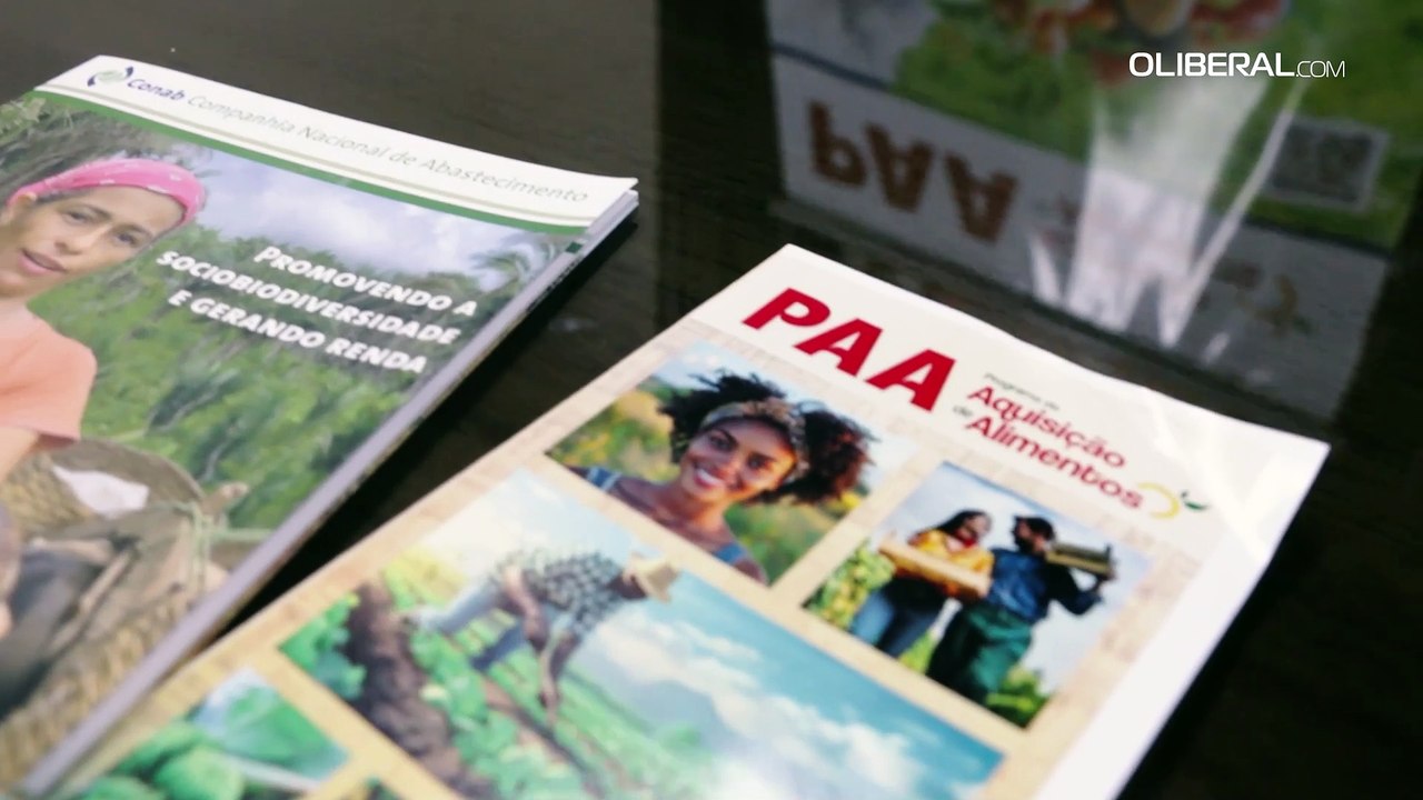 Produção agrícola no Pará deve crescer, mas rede de armazenagem enfrenta desafios