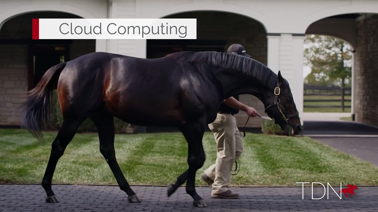 TDN Stallions: Cloud Computing