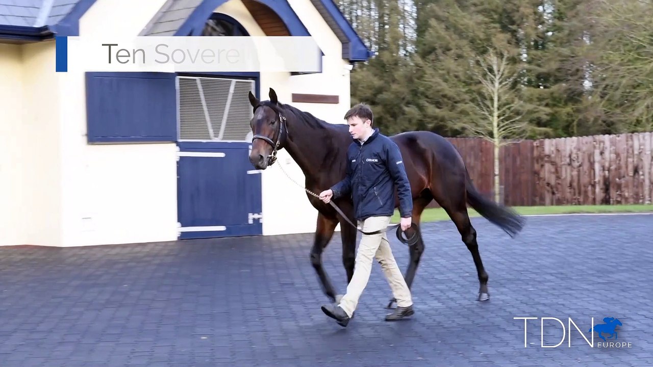 TDN Stallions: Ten Sovereigns
