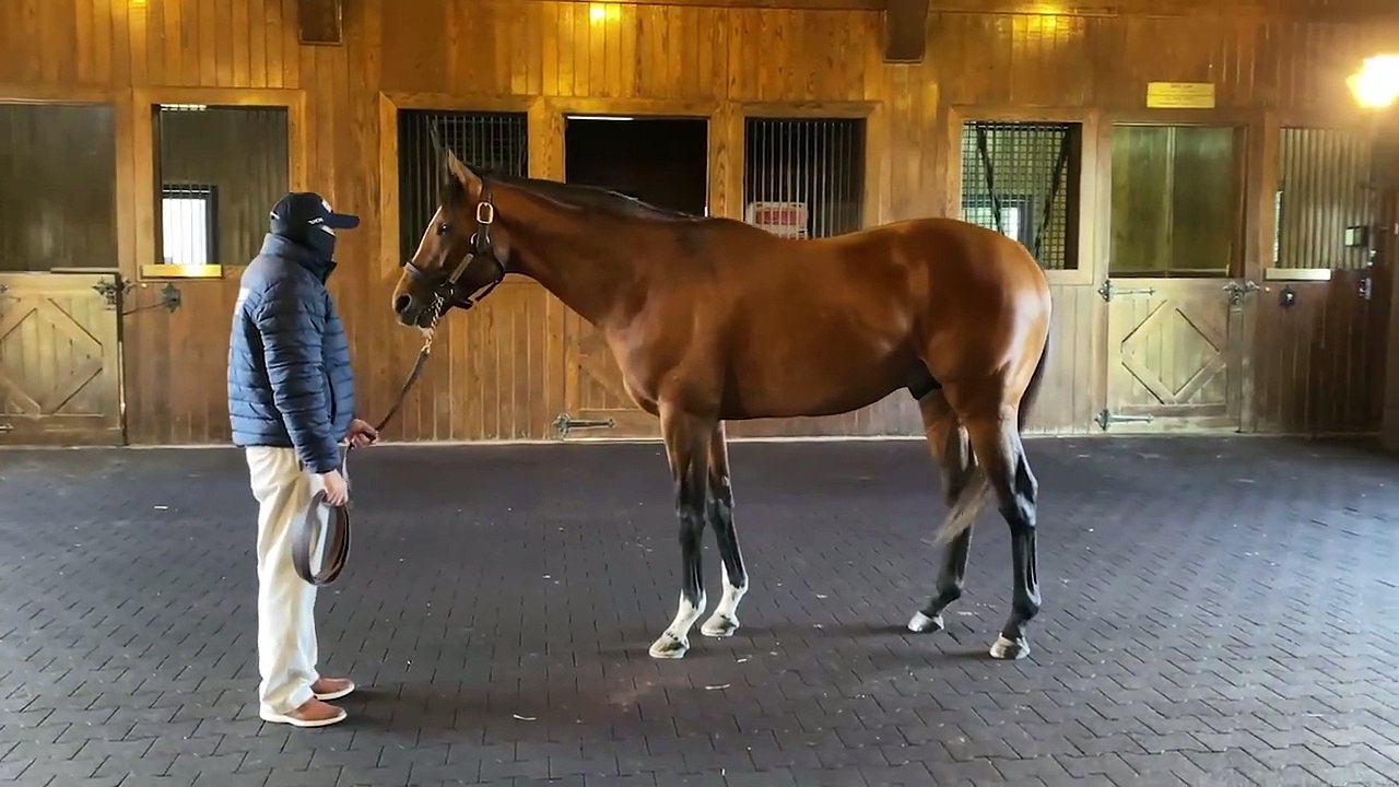 Experience Unmatched Safety with Maximum Security 360° Video 🚨