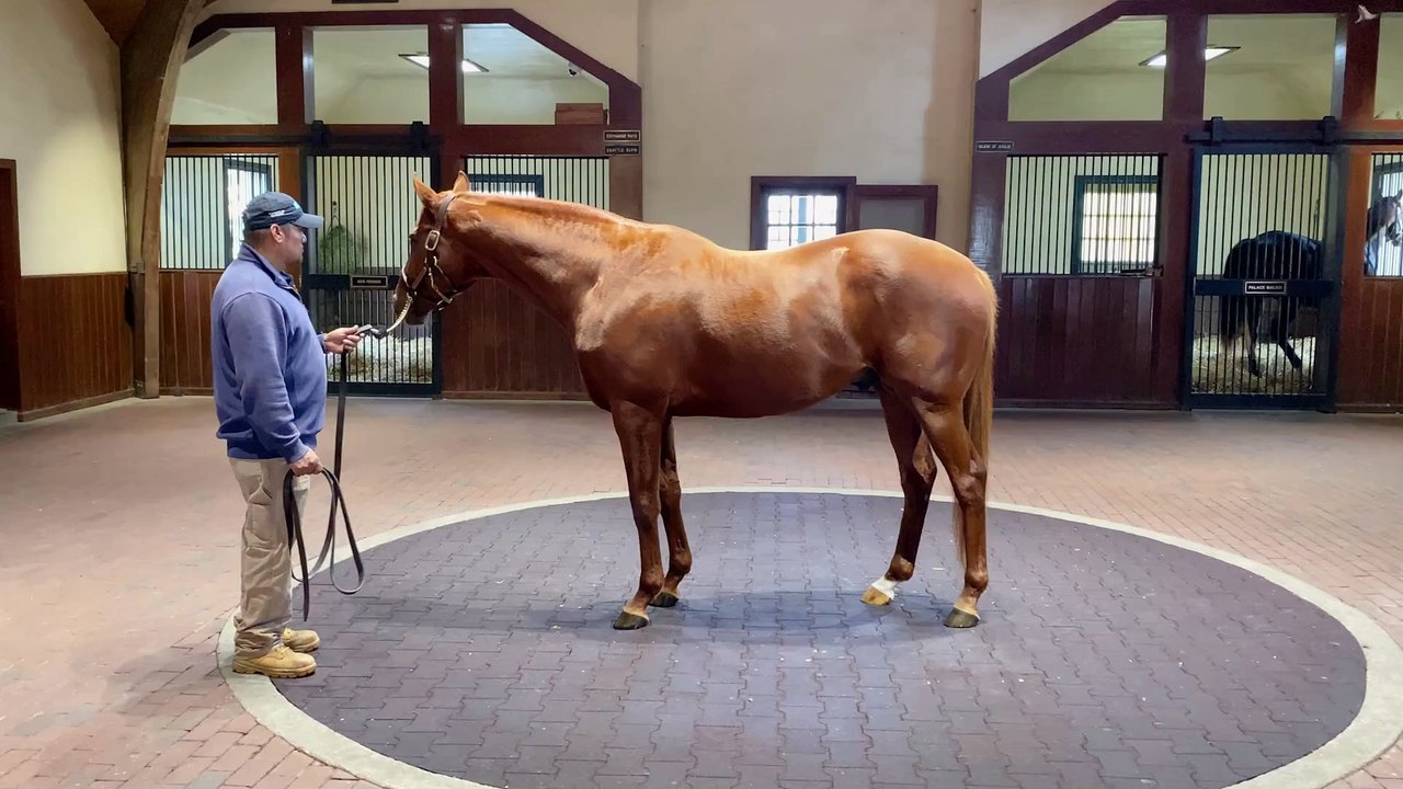 Gun Runner 360 Video