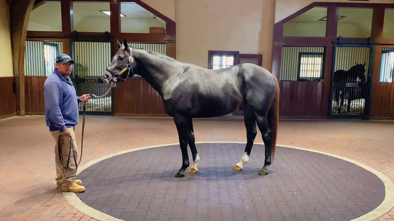 Sharp Azteca 360 Video