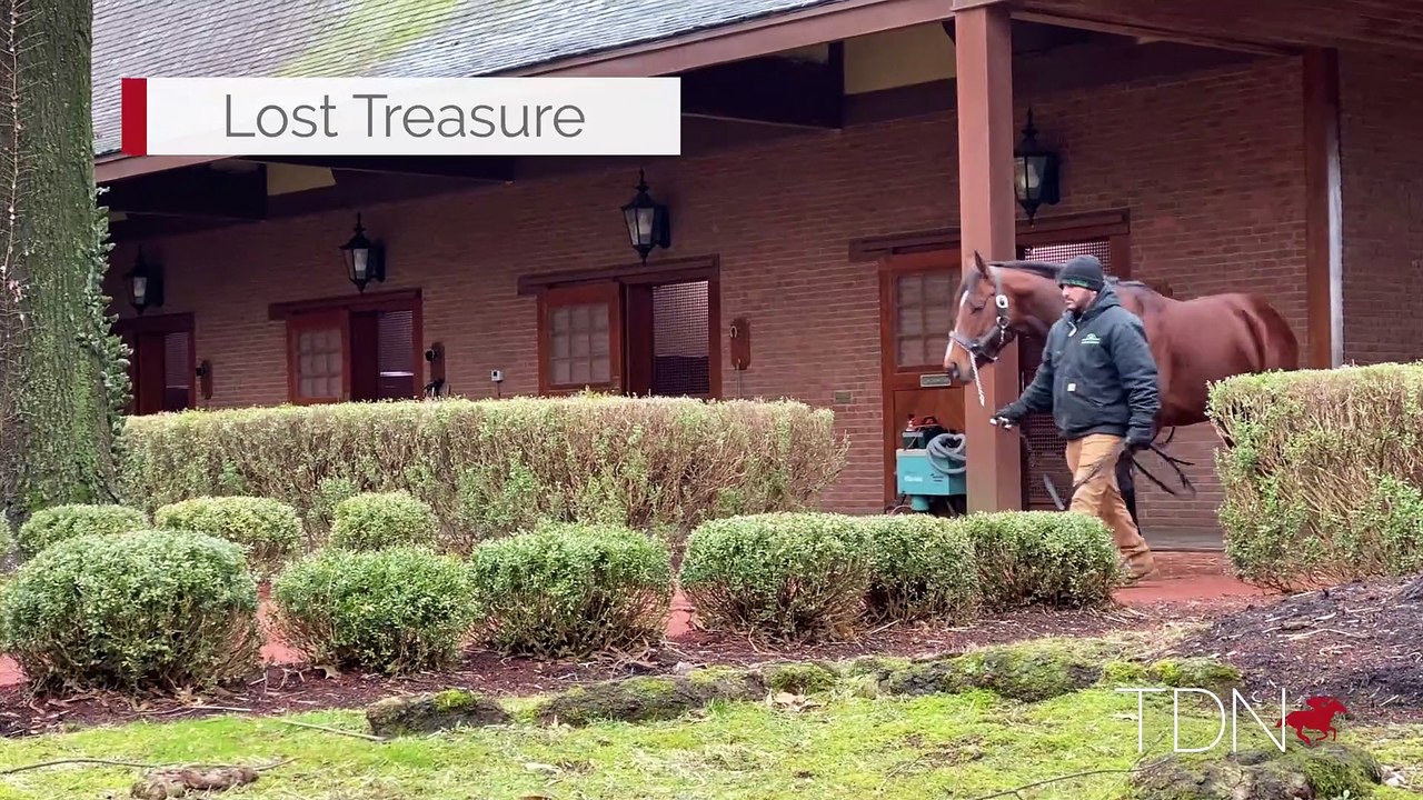TDN Stallions: Lost Treasure