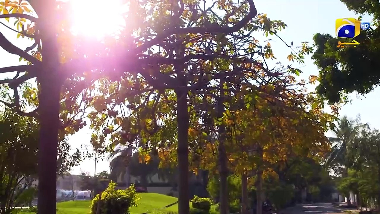 Aas Paas Episode 20 Explained in Hindi/Urdu | Full Episode Review & Analysis | Pakistani Drama