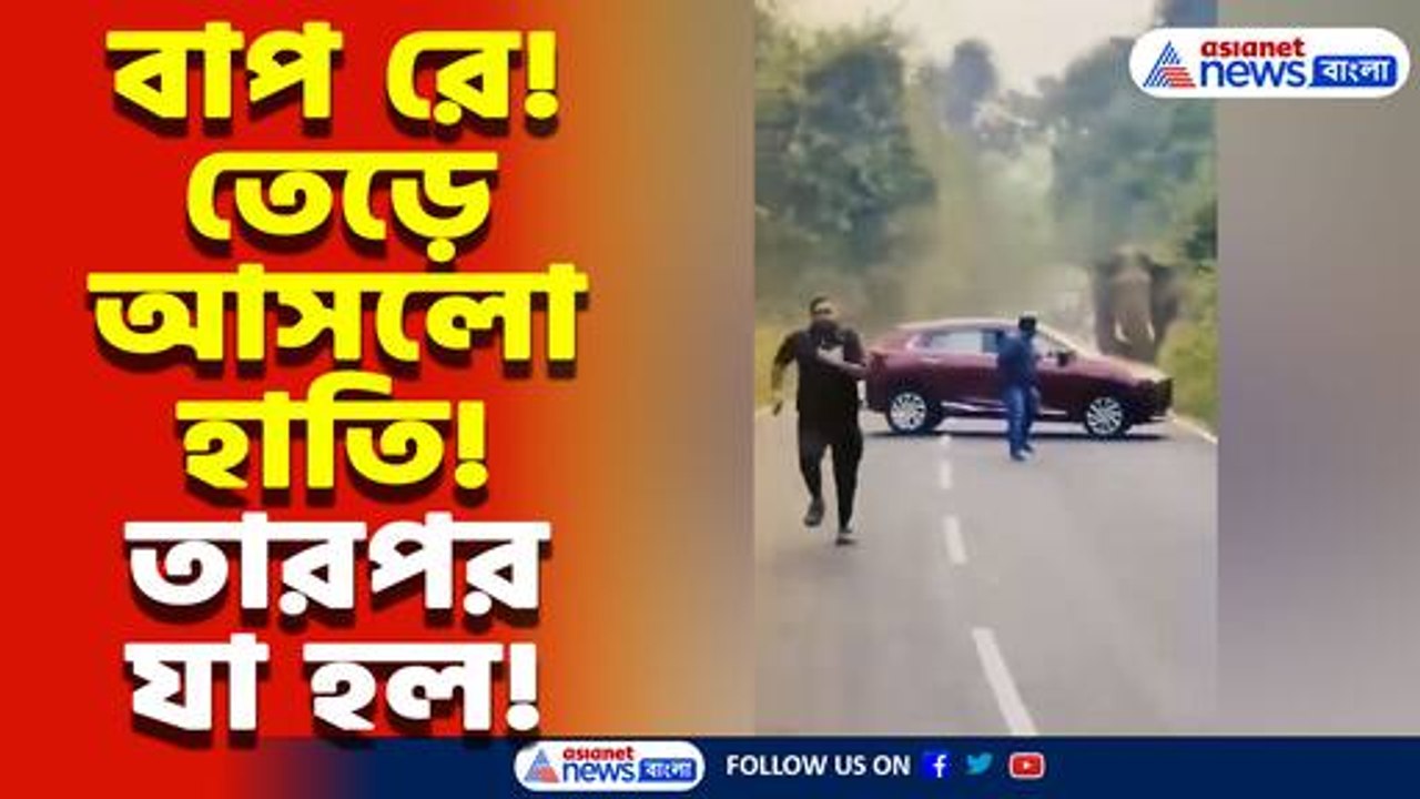 মুখোমুখি হাতি আর পর্যটকের গাড়ি! সাহসী পুলিশ অফিসারের তৎপরতায় অল্পের জন্য রক্ষা