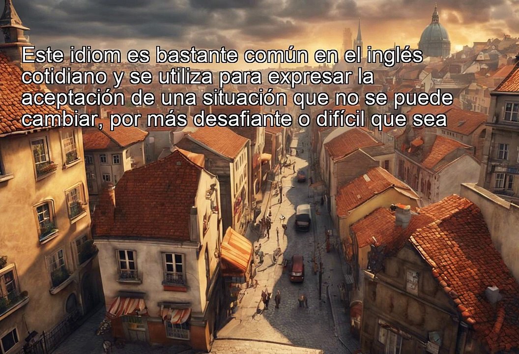 Understanding the Idiom: 'It Is What It Is'