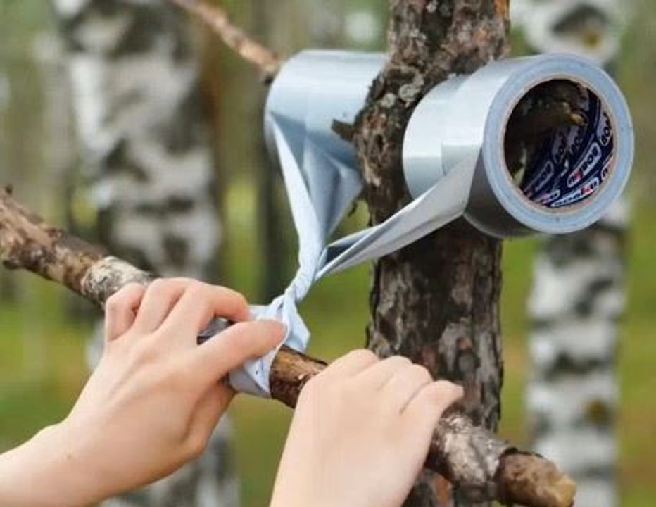 Unconventional Fixes That Actually Work!