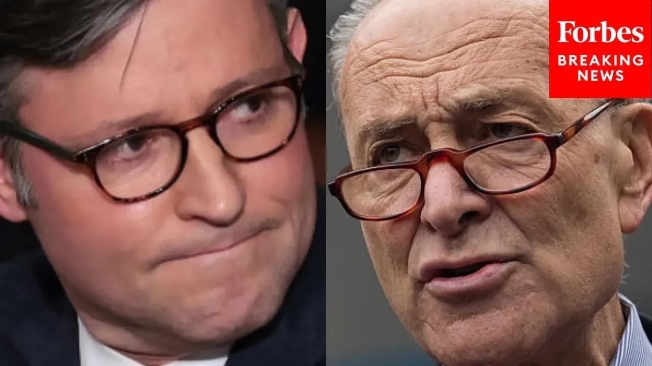 Speaker Johnson Calls Out 'Unusual Activity' From Democrats Since Trump Took Office