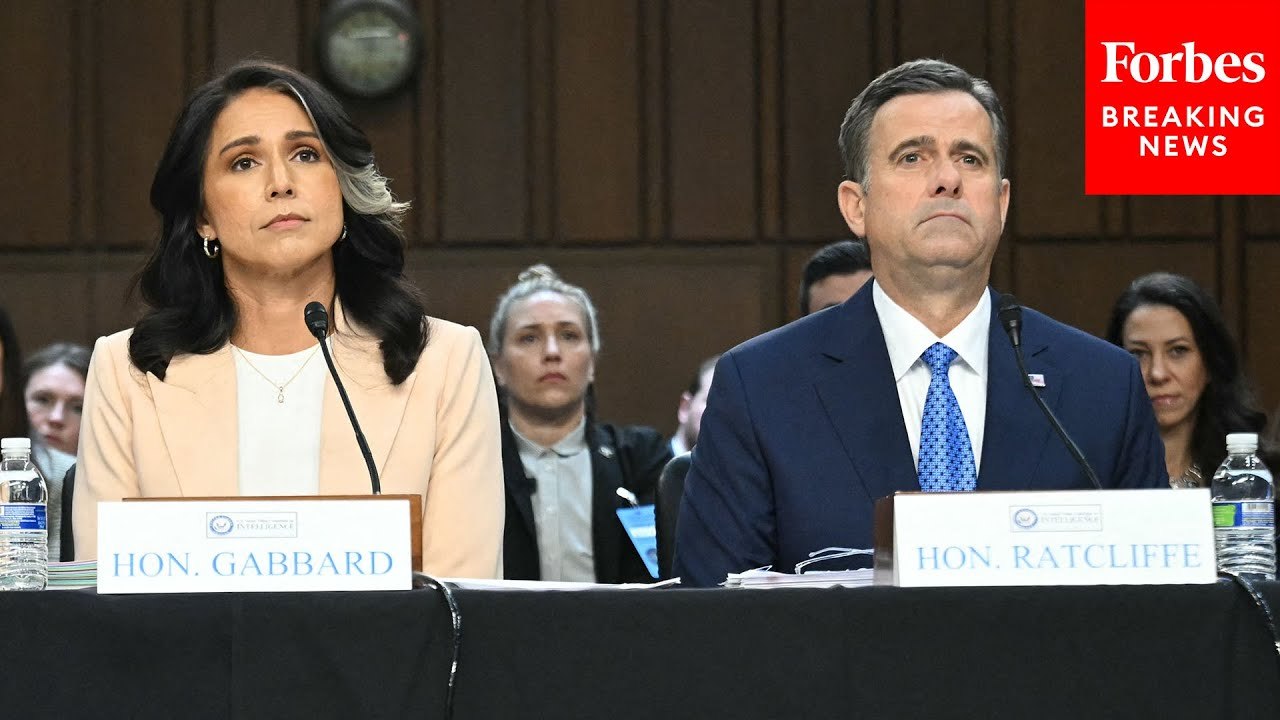 Tulsi Gabbard, John Ratcliffe Face Grilling Over Leaked War Plans In Senate Intel Committee