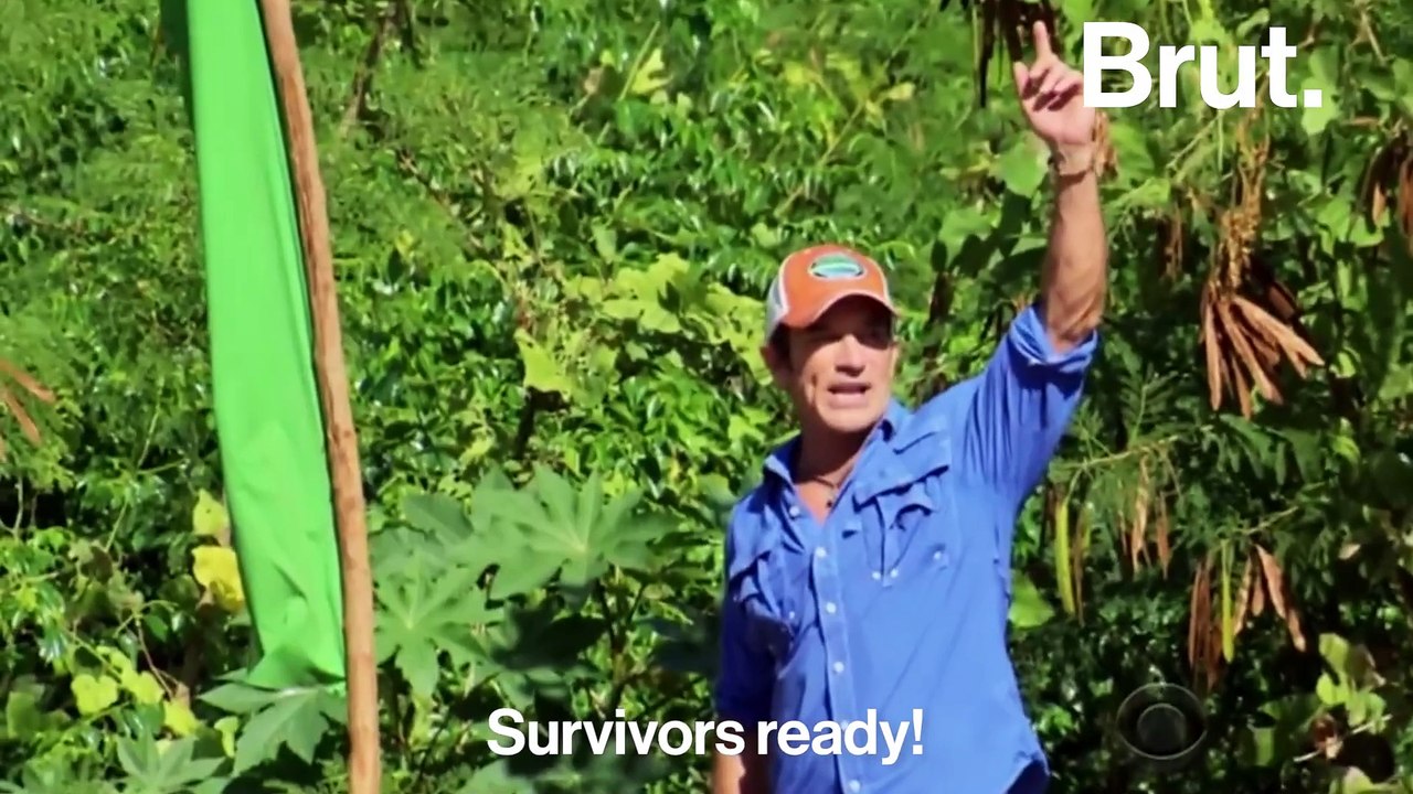 How does immunity work ?