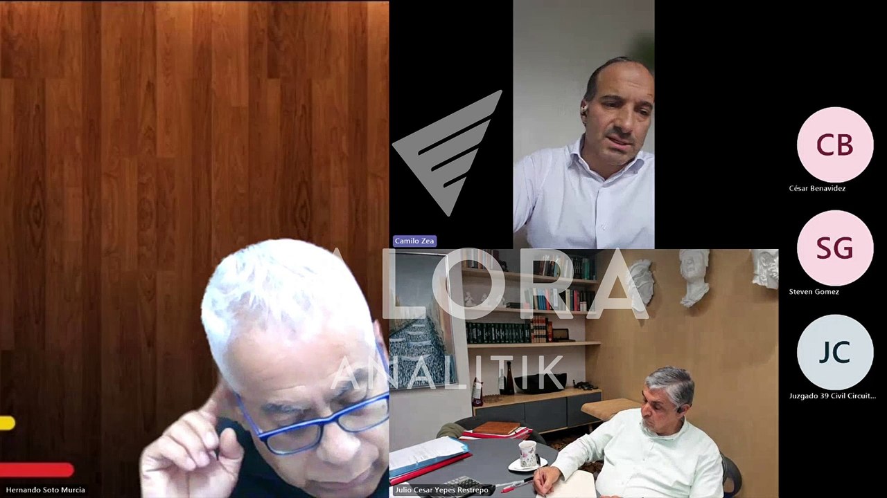 Camilo Zea - Cambios matriz