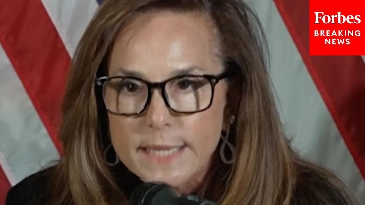 Lisa McClain: This Is The Democrats' 'Latest Liberal Lunacy'