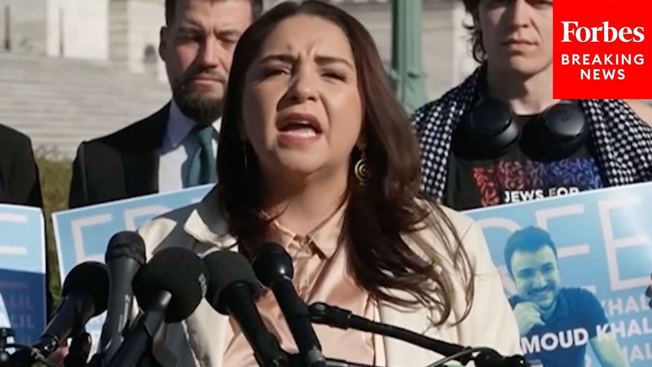 'What We Are Seeing Happen Right Now... Is Chilling': Delia Ramirez Defends Mahmoud Khalil