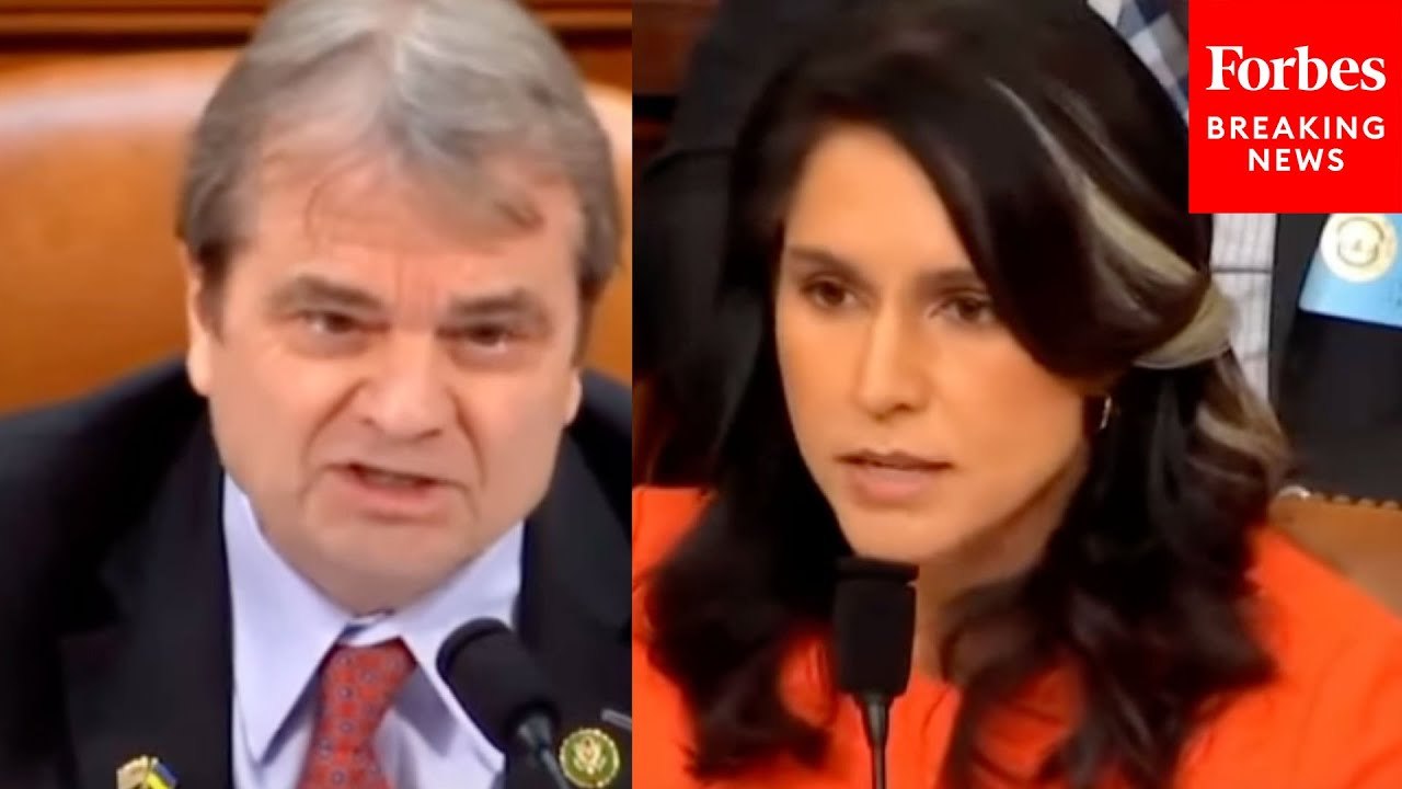 Tulsi Gabbard Confronted About 'Colossal Mistake' Of Signal Leak By Mike Quigley