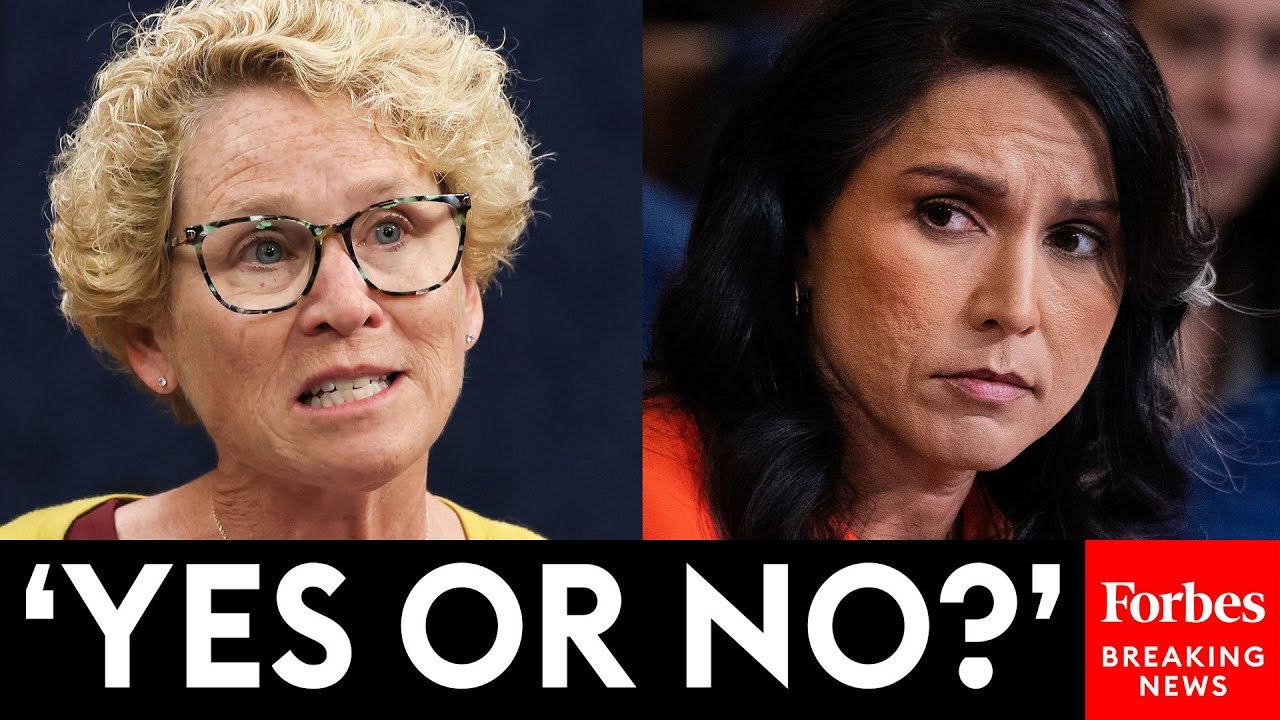 Chrissy Houlihan Directly Confronts John Ratcliffe, Tulsi Gabbard Over Use Of Signal