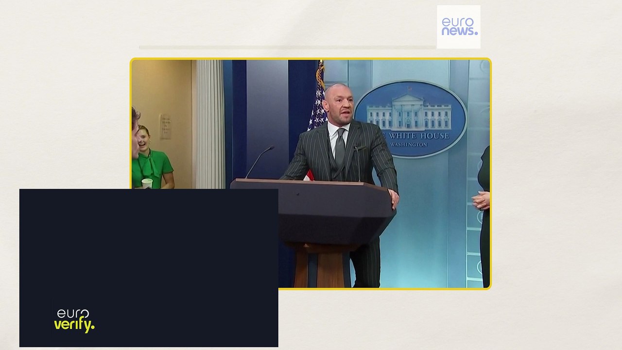 Fact-check: Unlikely that Conor McGregor can run for Irish presidency