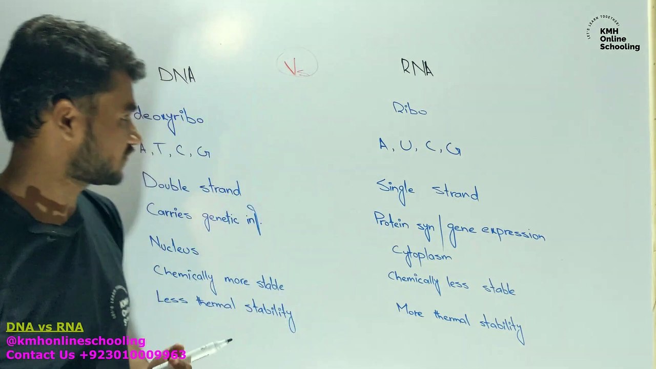 Difference between DNA and RNA?