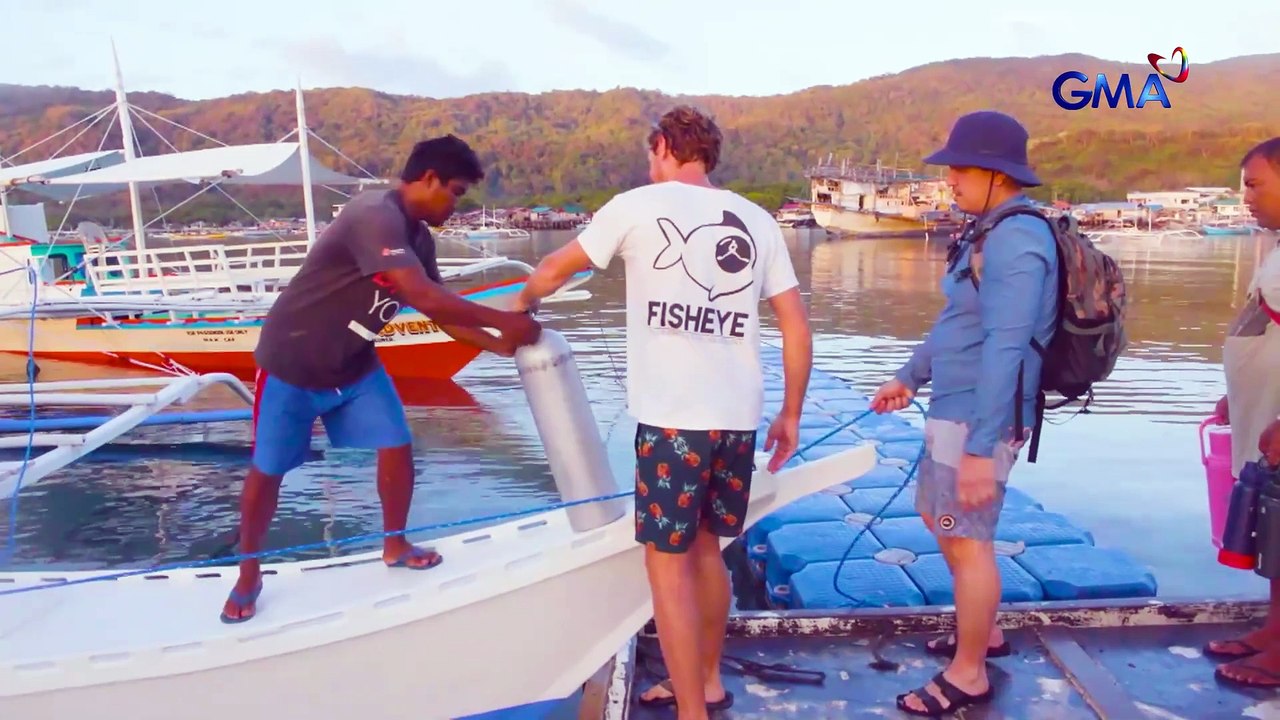 Mysterious Shadow in Linapacan & Wildlife Threats on Dinagat  (Full Episode) | Born to be Wild