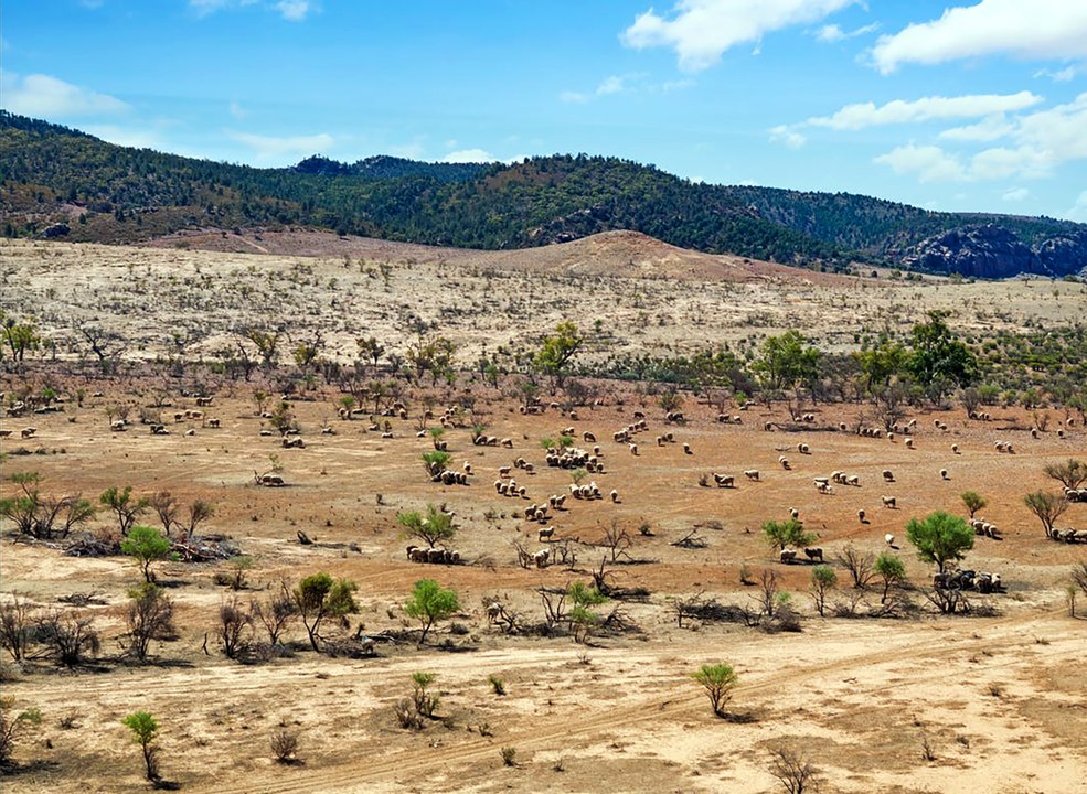 Argadells sheep station in the Flinders Ranges offers tourism income.