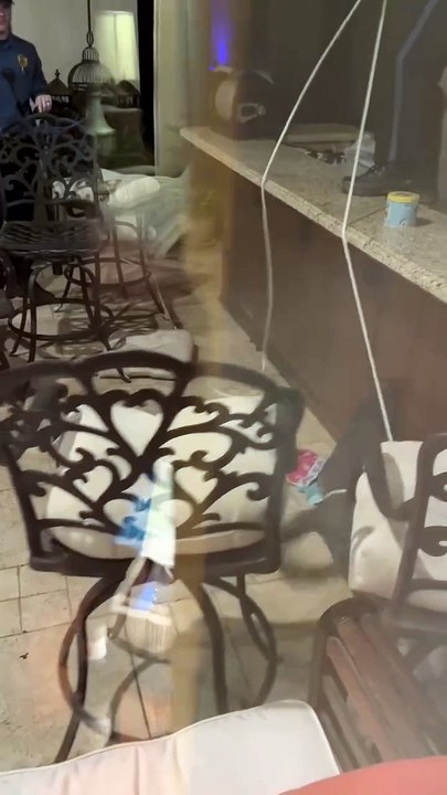 crocodilo, varanda, EUA