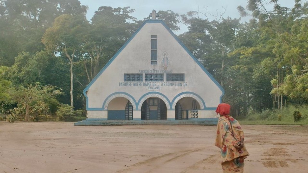 L’Arbre de l’Authenticité Bande-annonce VF STEN