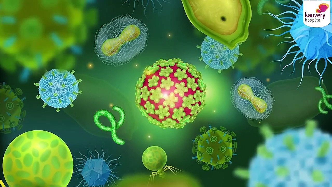 What is Polio and How Does It Affect the Body?