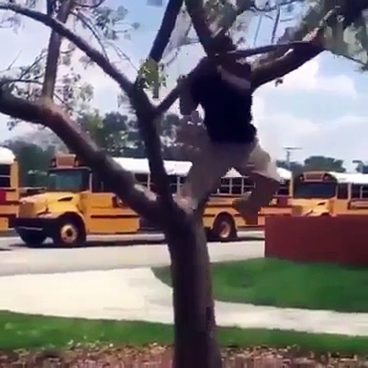 Biomedical Scientist Funny Video3