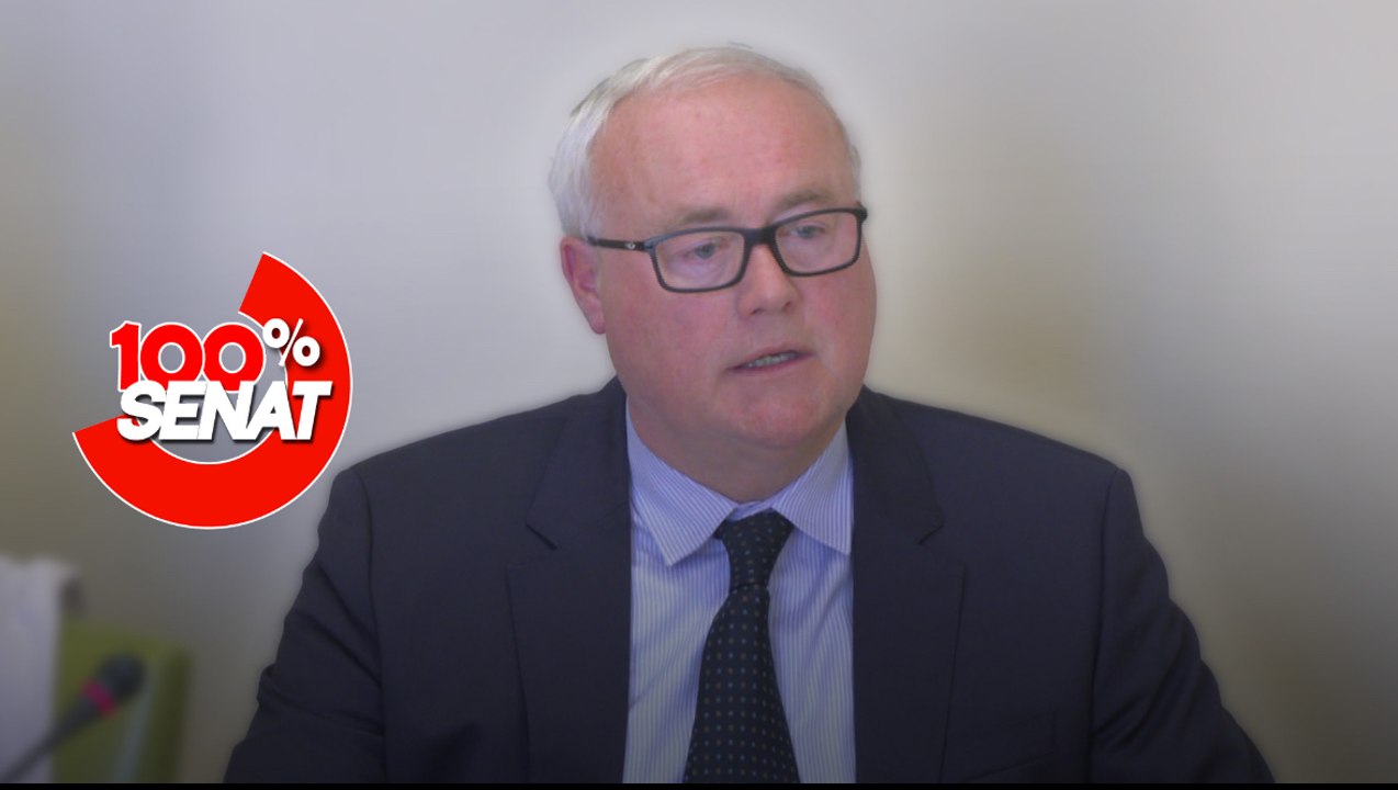 100% Sénat - Aides publiques aux entreprises : audition de STMicroelectronics