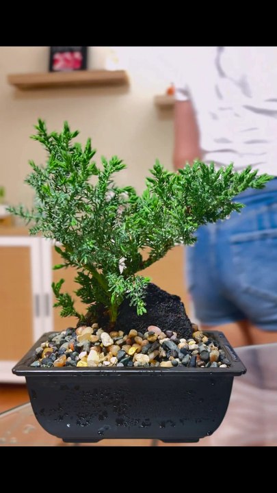 One Touch Changed Everything